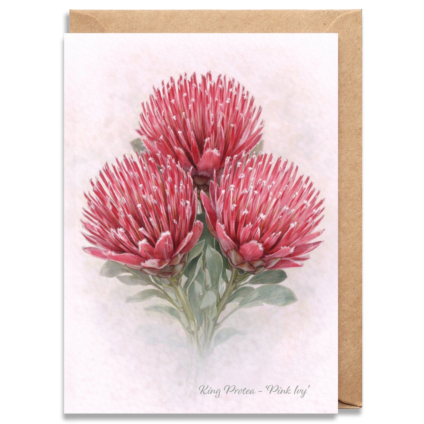 Pink Ivy Protea Greeting Card