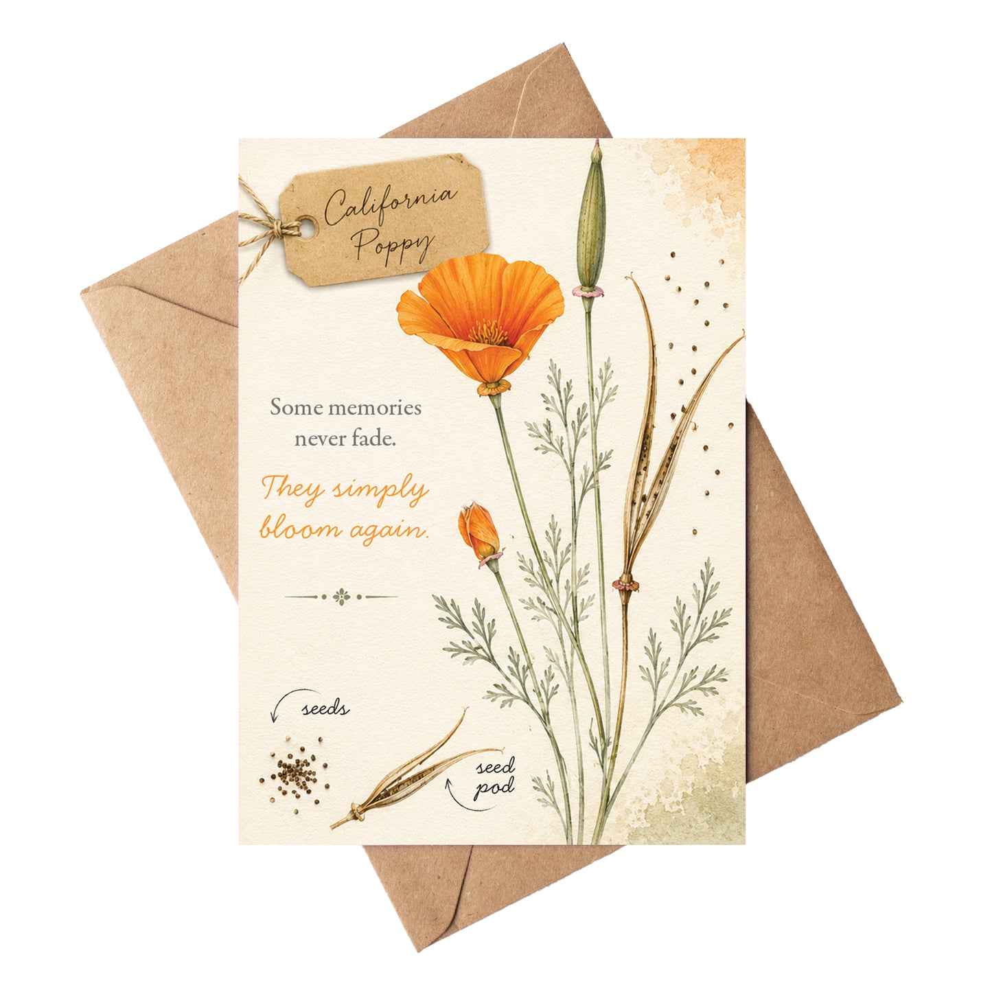 California Poppy