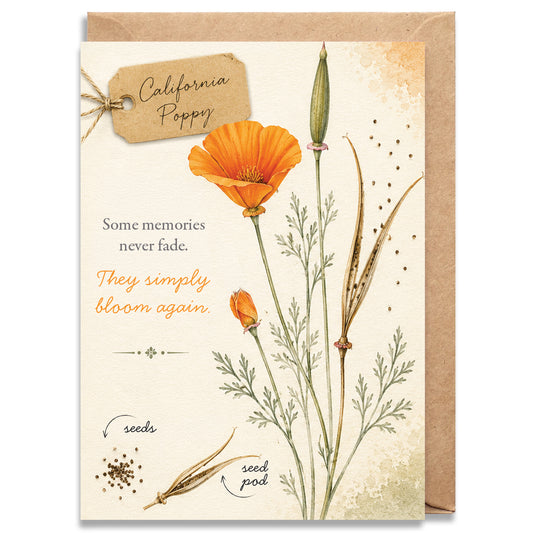 California Poppy