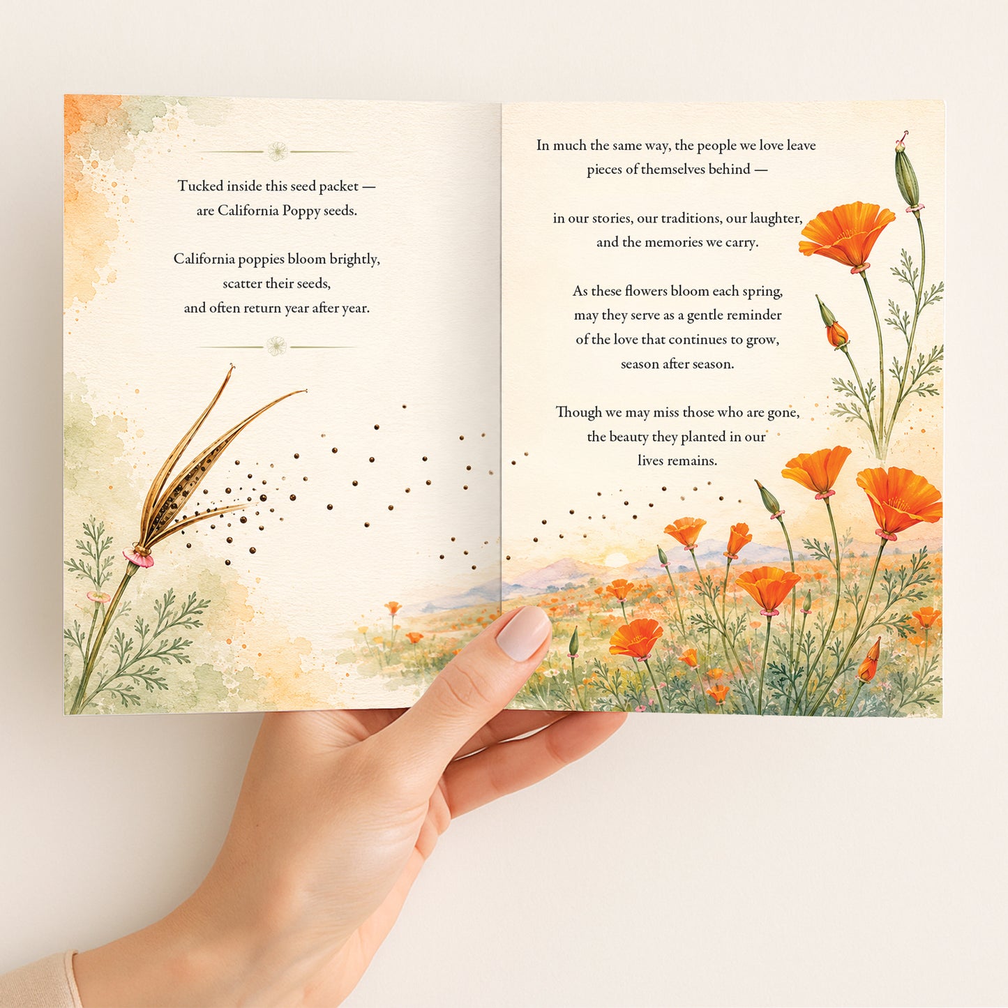 California Poppy