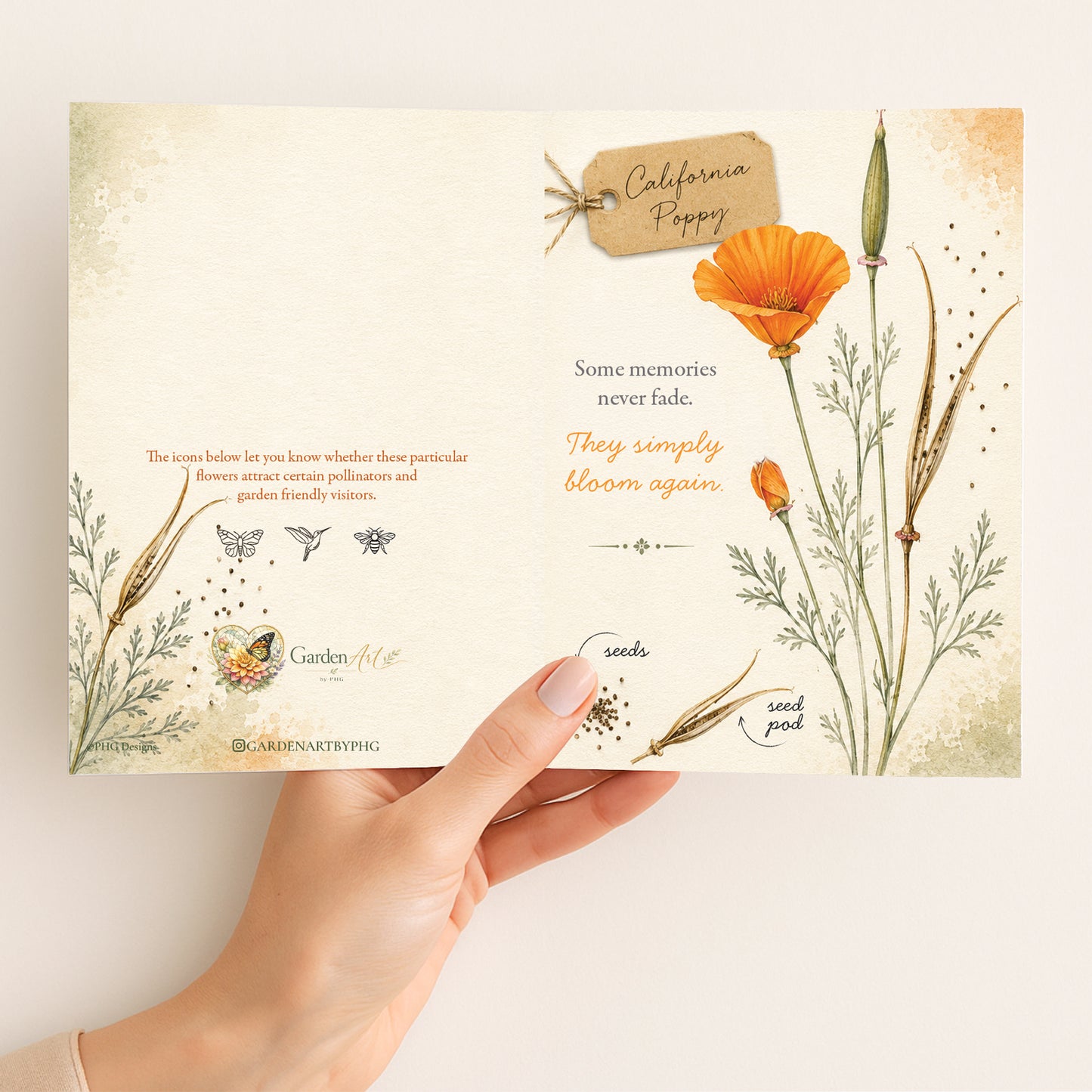 California Poppy