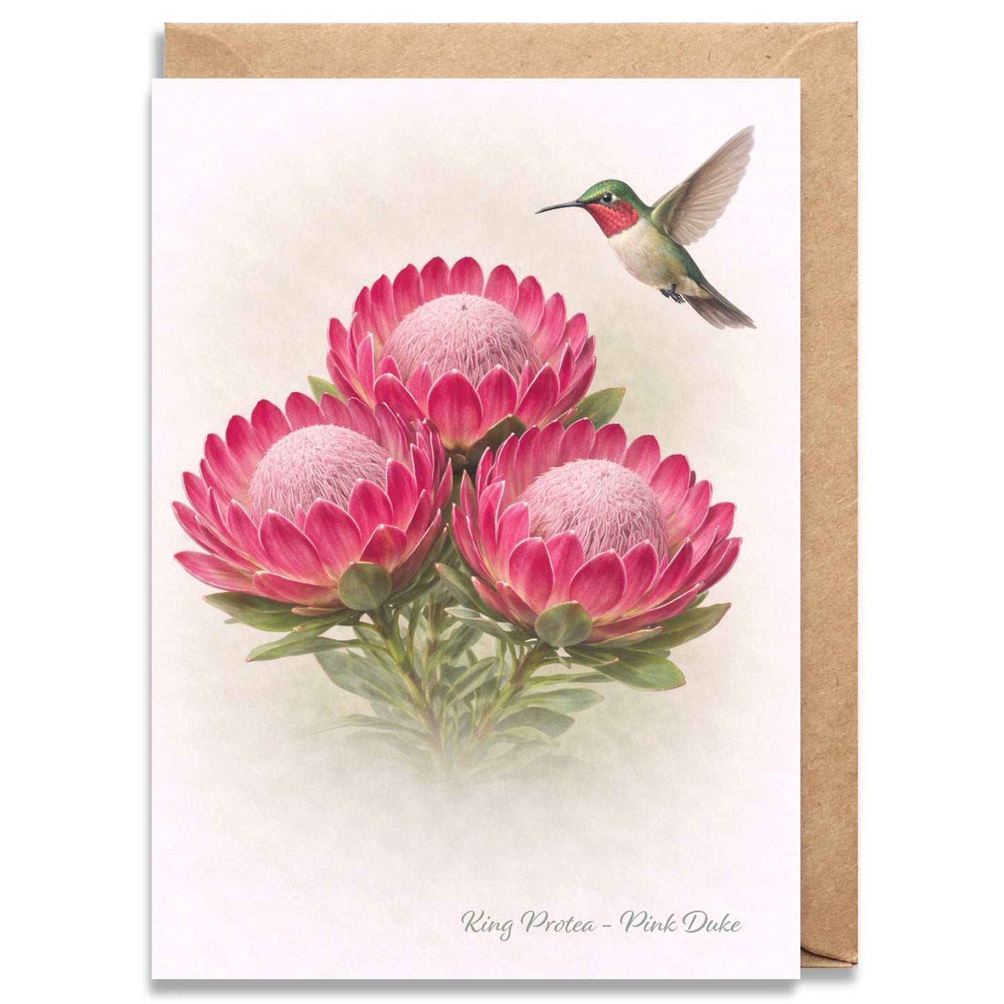 Pink Duke Protea Greeting Card