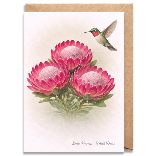 Pink Duke Protea