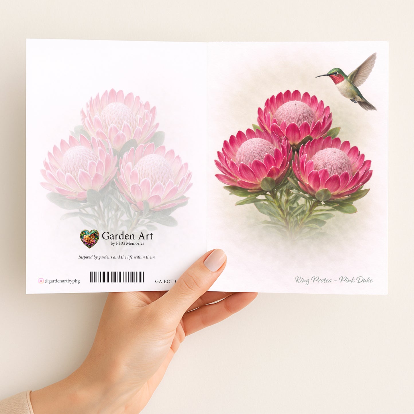 Pink Duke Protea Greeting Card