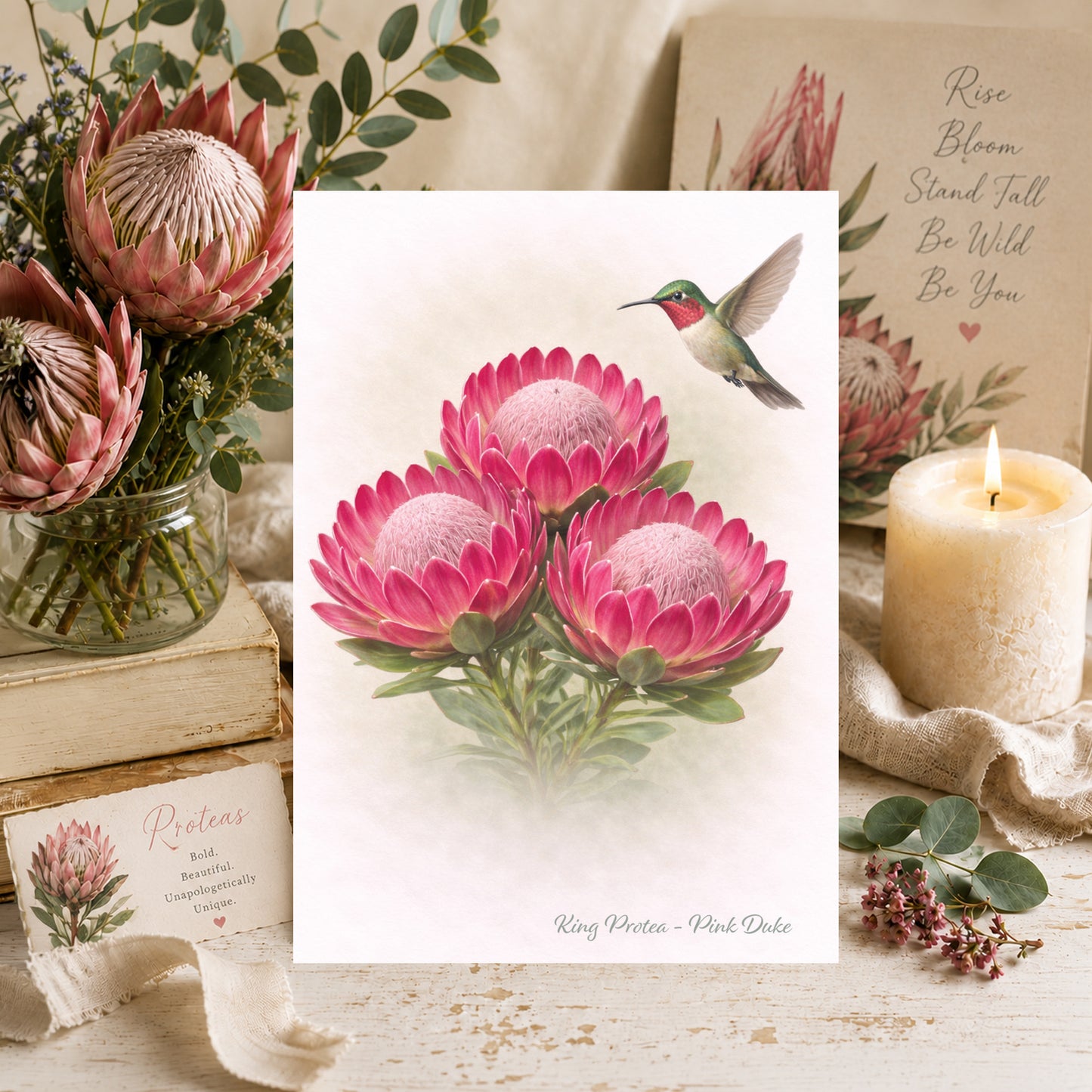 Pink Duke Protea