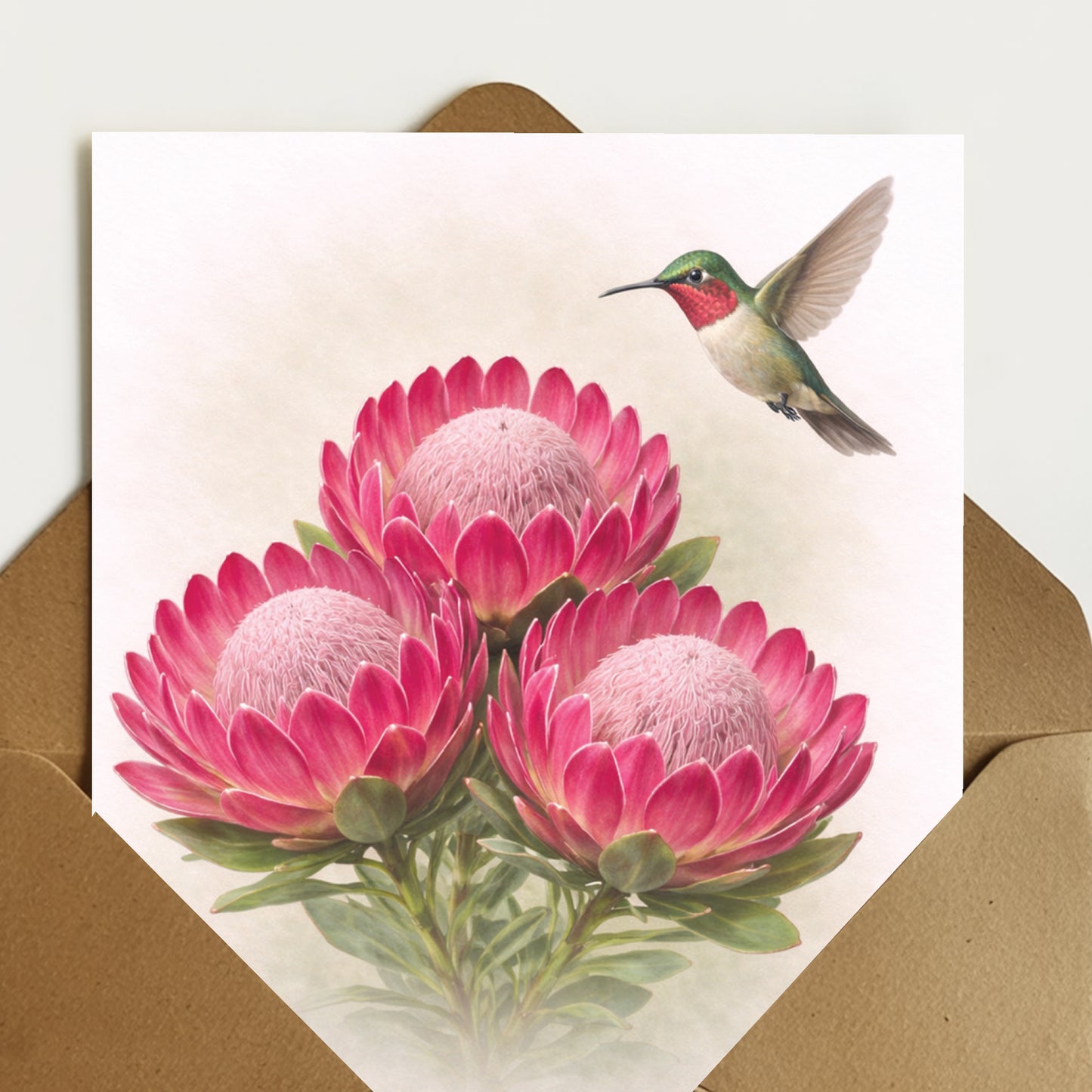 Pink Duke Protea
