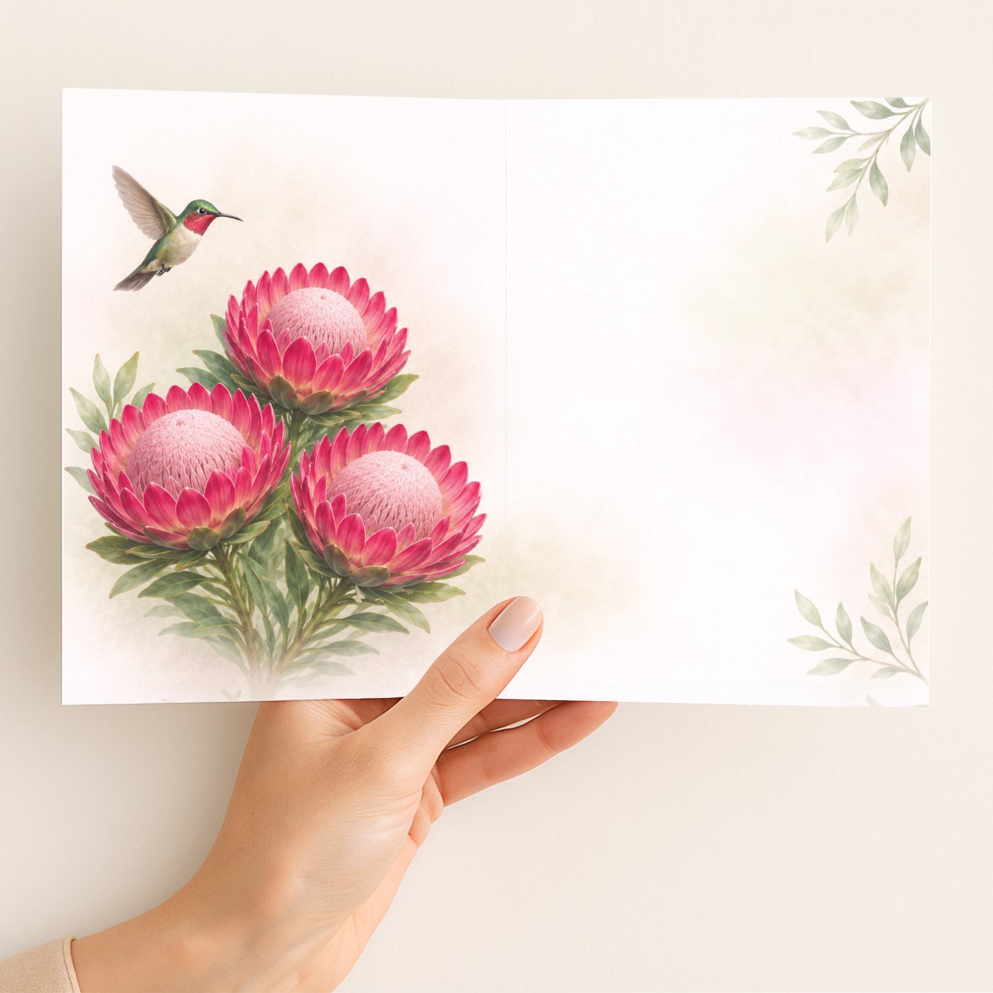 Pink Duke Protea