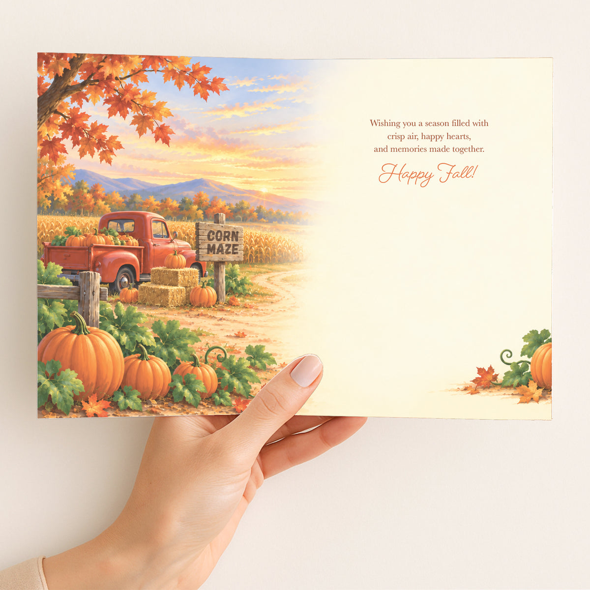 Pumpkin Patch