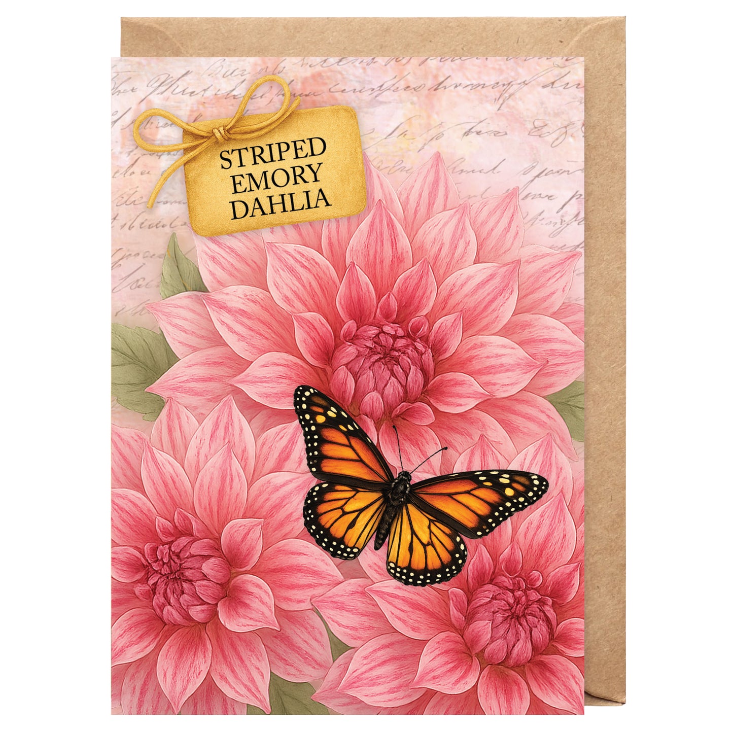 Striped Emory Dahlia