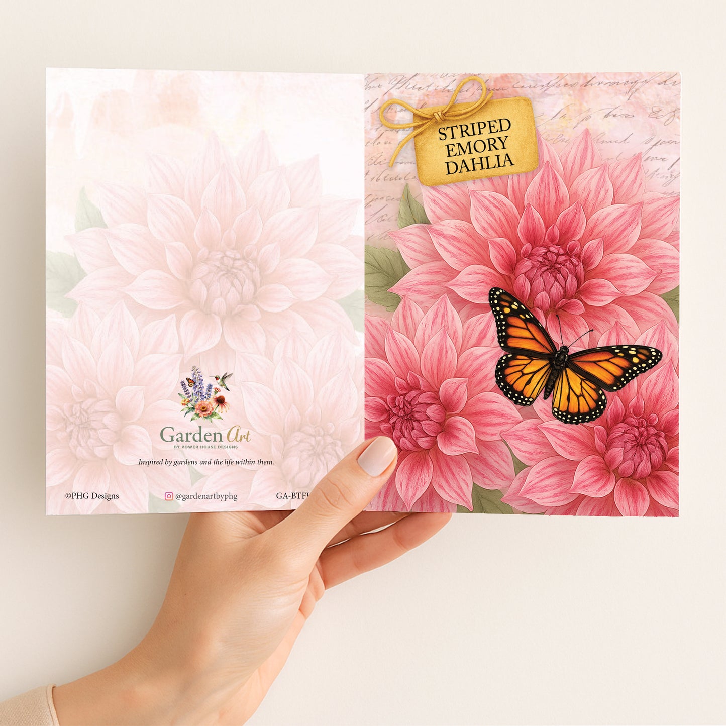 Striped Emory Dahlia