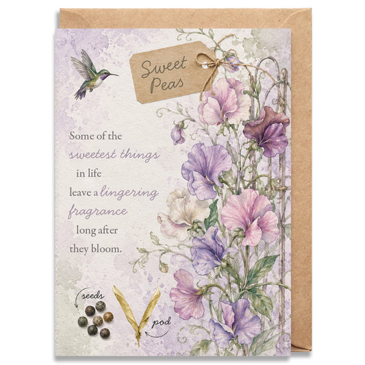 Sweet Peas