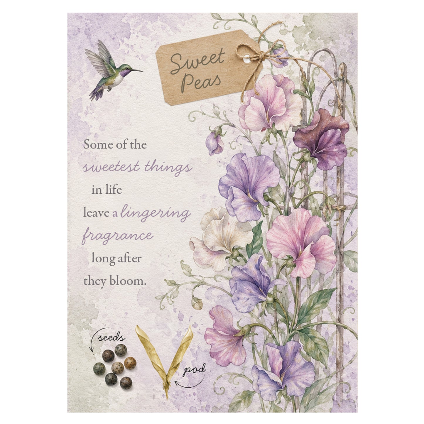 Sweet Peas