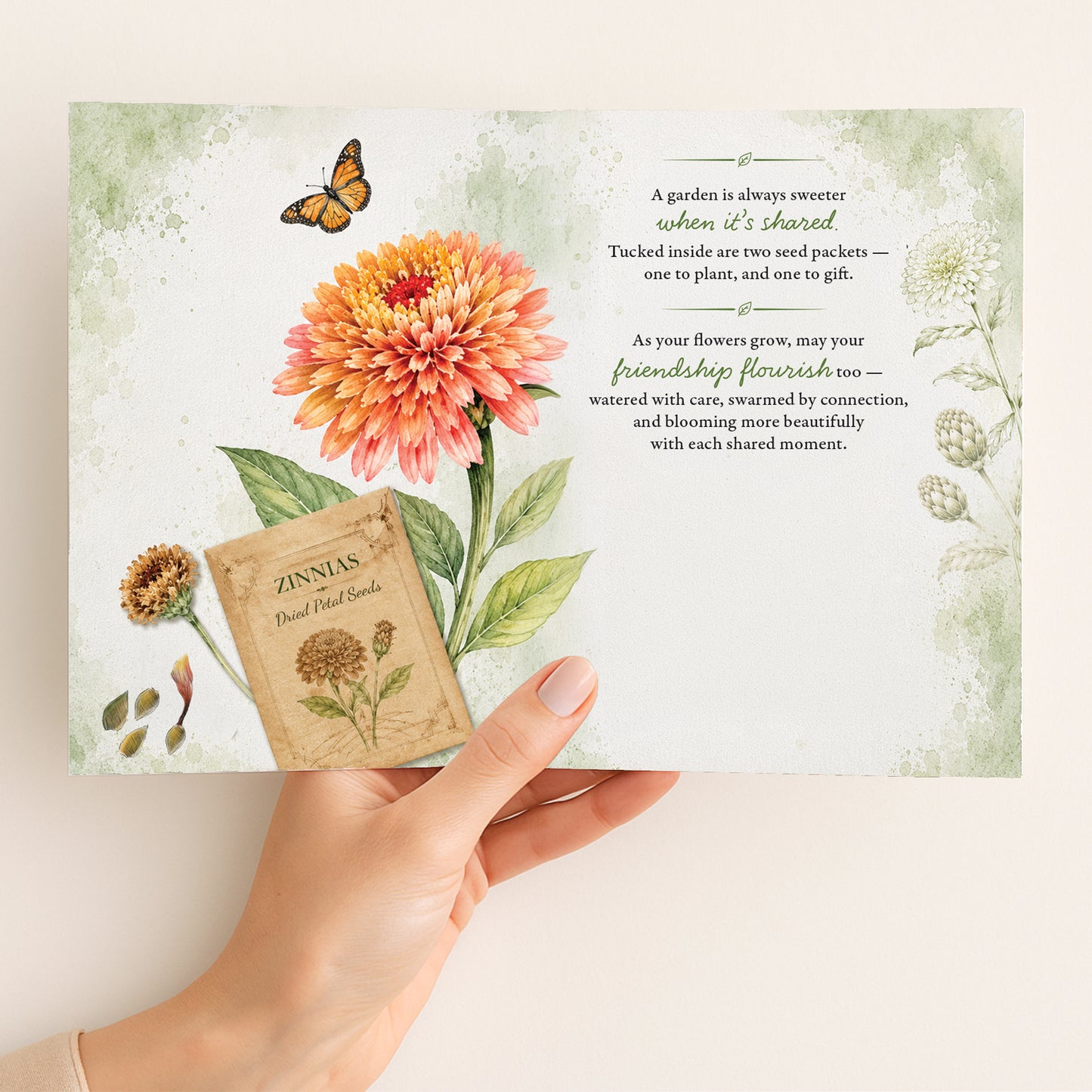 Zinnias
