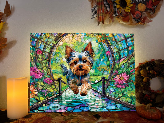 Canvas - Yorkie